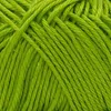 29 - Verde acido