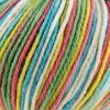 Lana Puntarenas multicolor - Lana Puntarenas multicolor 5