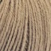 585 - Cammello